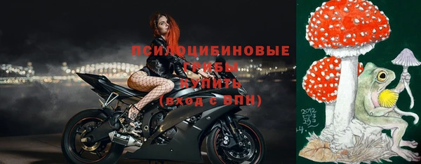 стафф Армянск