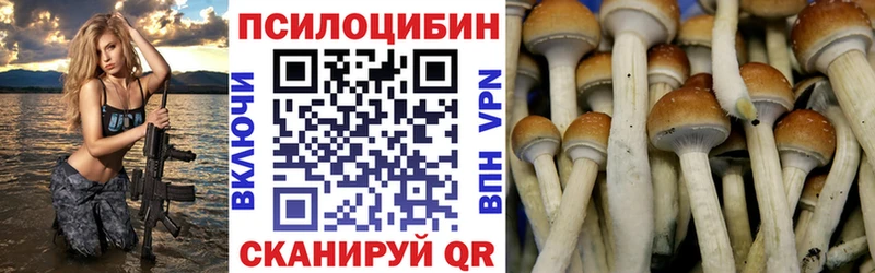 Псилоцибиновые грибы Psilocybine cubensis Старый Крым